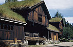 乡村风景