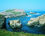 美丽海景