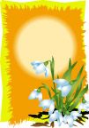 花纹