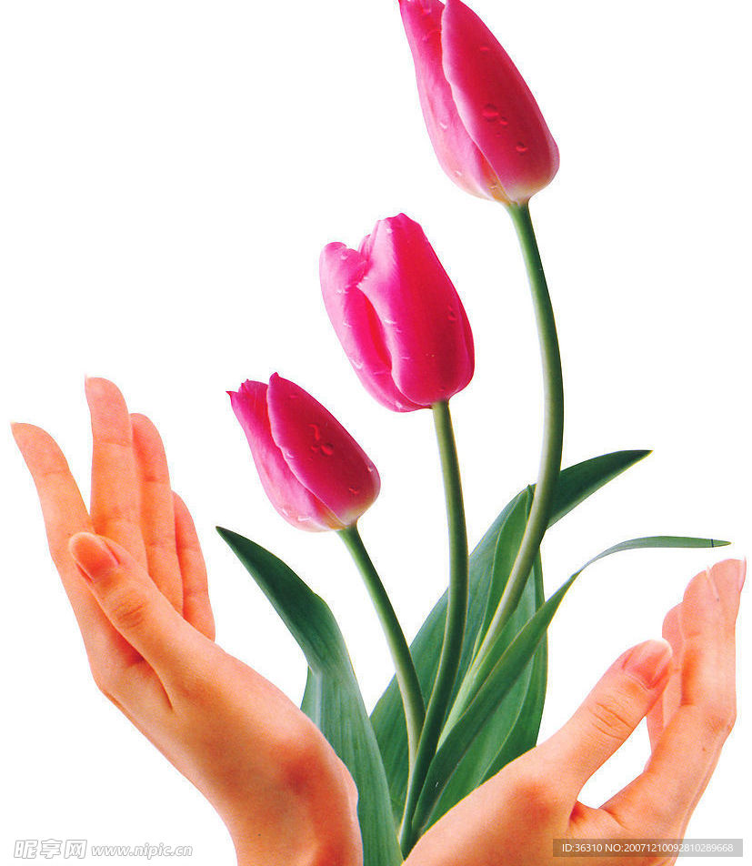 花与手