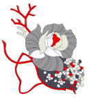 手绘线描效果玫瑰花psd分层素材2
