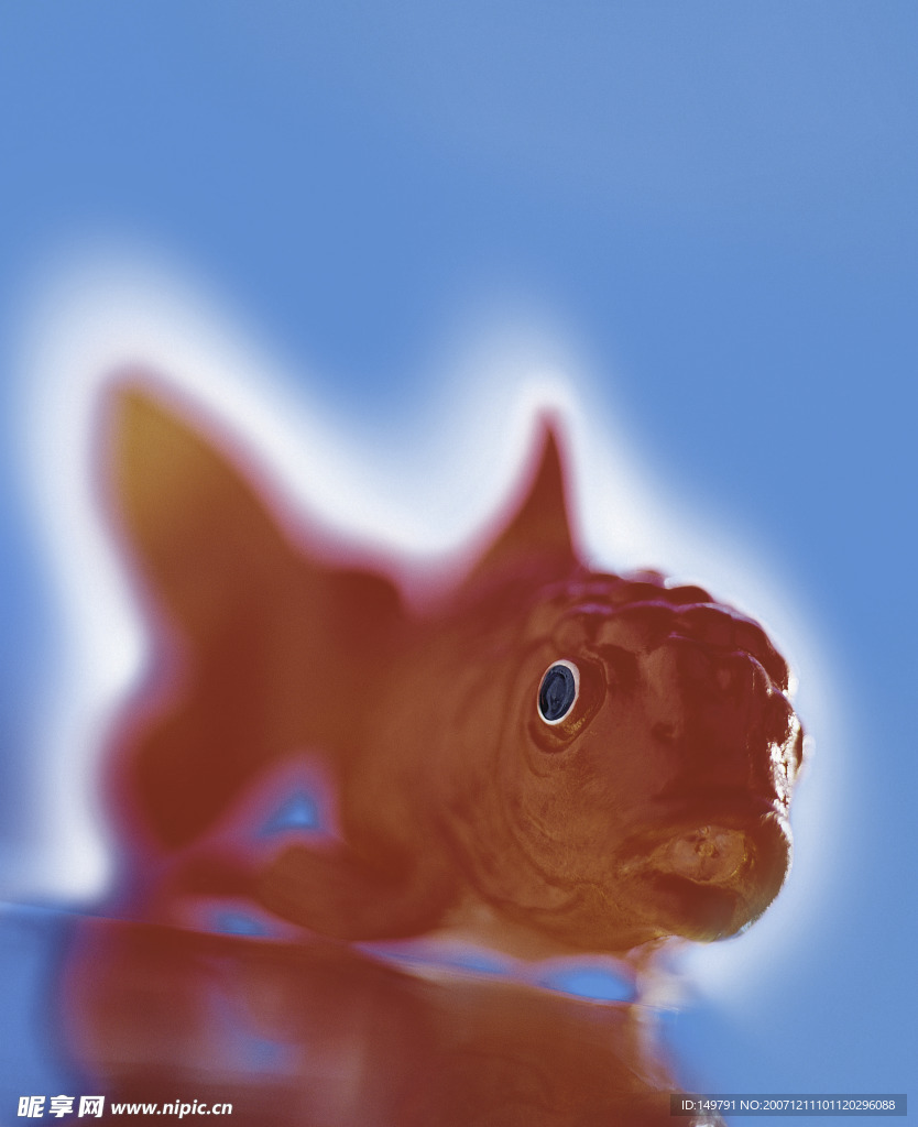 夏日标记