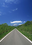 道路美景