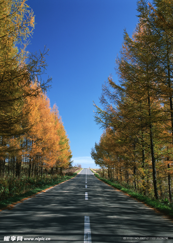 道路美景