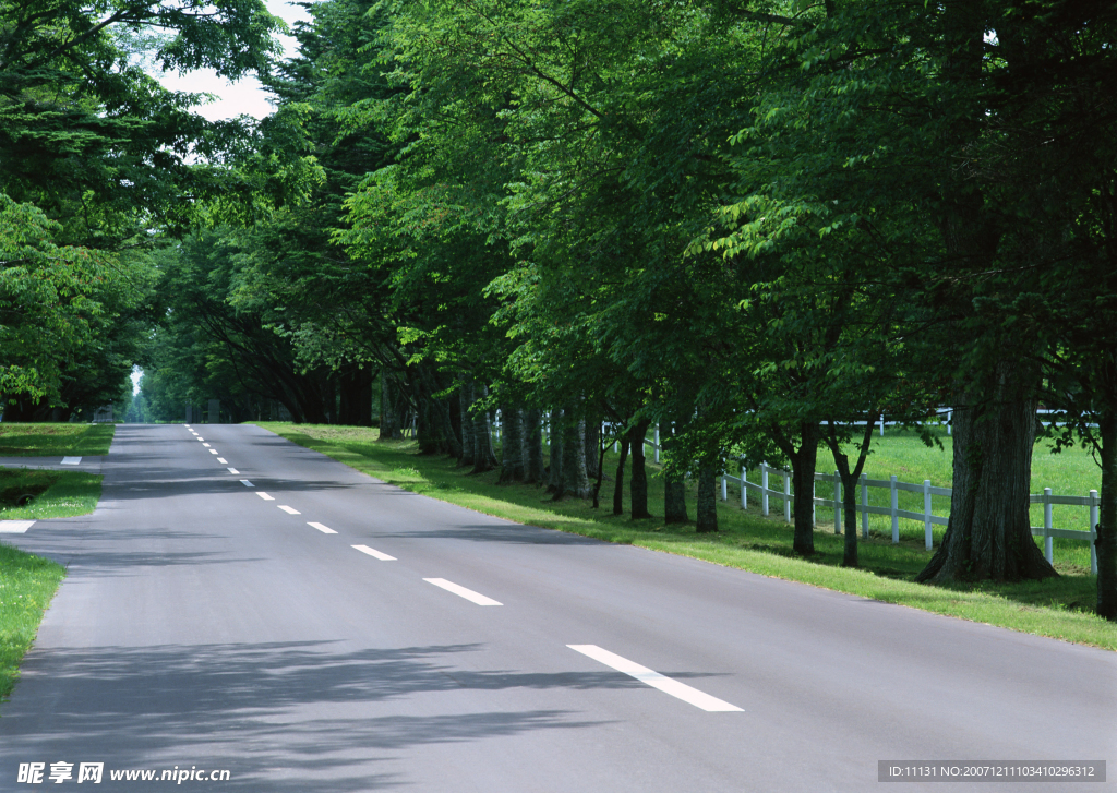 道路美景