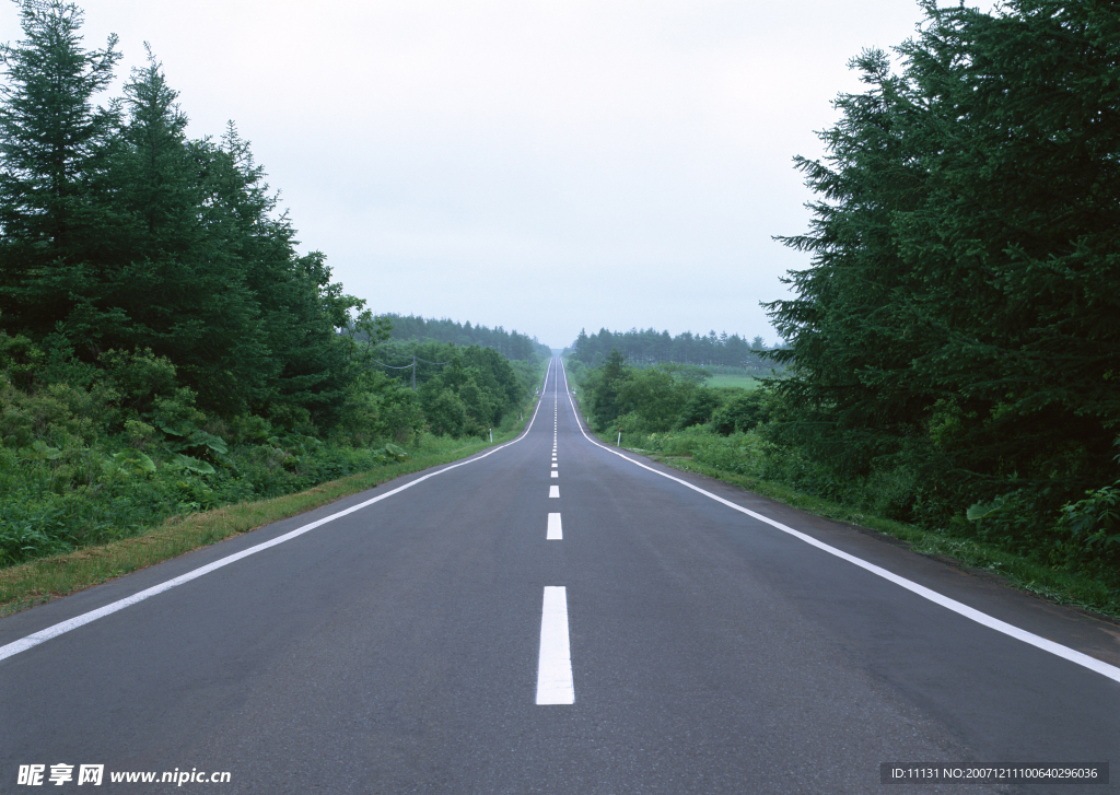 道路美景