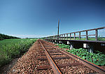 道路美景