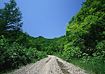 道路美景