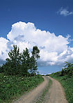 道路美景