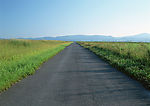 道路美景