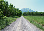 道路美景
