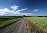 道路美景