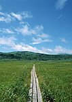 道路美景