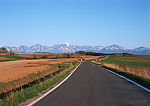 道路美景