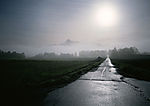 道路美景