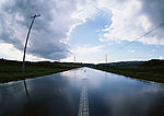 道路美景