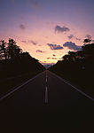 道路美景