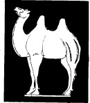 古代矢量图案
