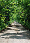 道路美景