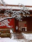 北京紫金城