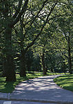 道路美景