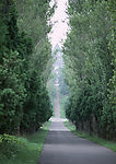 道路美景
