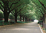 道路美景