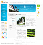 网页模板