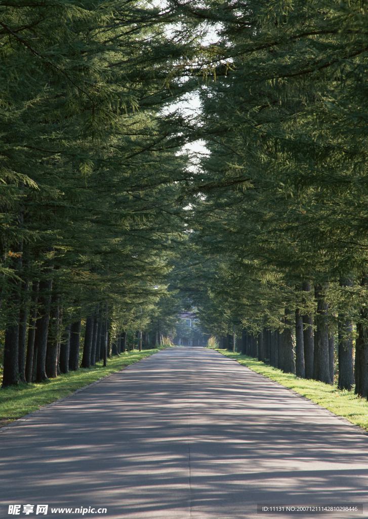 道路美景