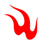 火焰形态