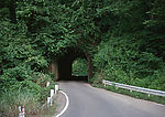 道路美景