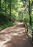 道路美景