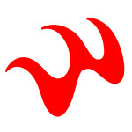 火焰形态