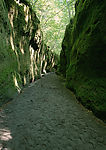 道路美景