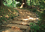 道路美景