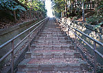 道路美景