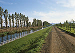 道路美景