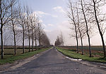 道路美景