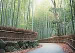 道路美景