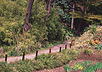 道路美景