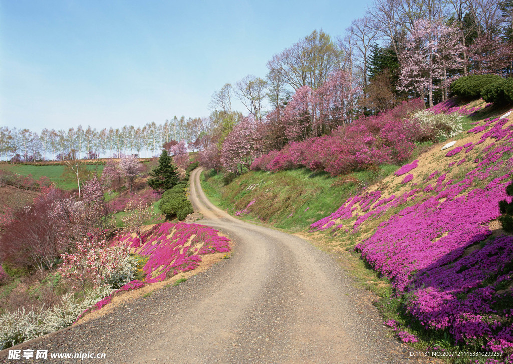 道路美景