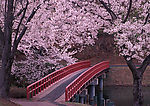 道路美景