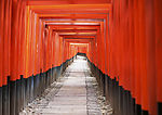 道路美景