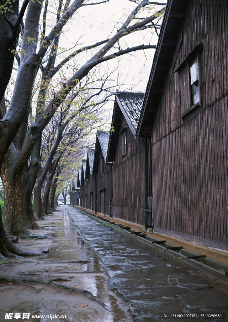 道路美景