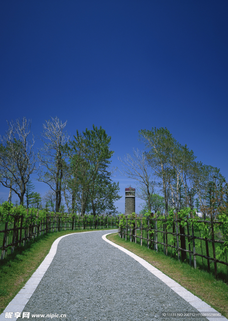 道路美景