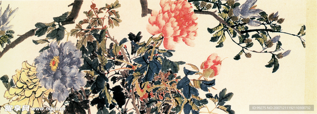 牡丹