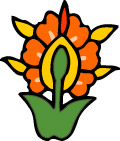 彩色花纹图案(407)