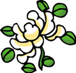 彩色花纹图案(444)