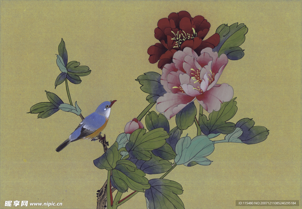 花鸟