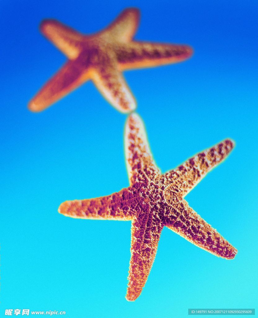 夏日标记